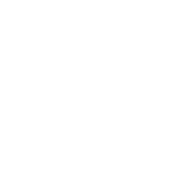 新卒採用